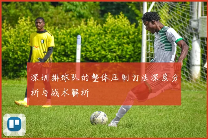 深圳排球队的整体压制打法深度分析与战术解析