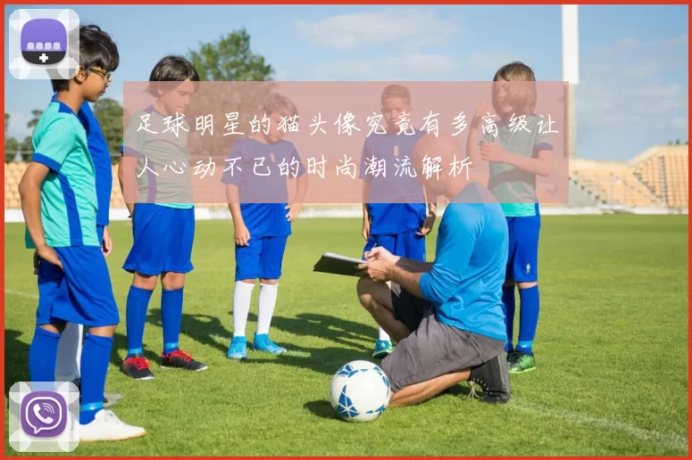 足球明星的猫头像究竟有多高级让人心动不已的时尚潮流解析