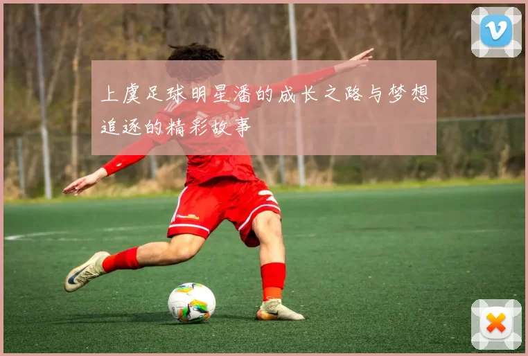 上虞足球明星潘的成长之路与梦想追逐的精彩故事