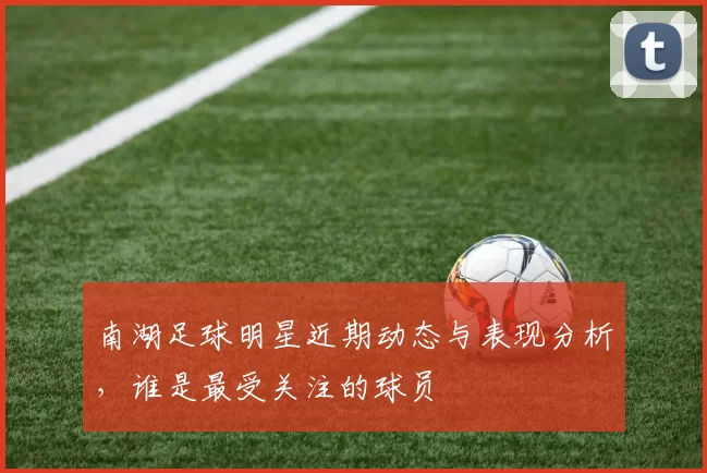南湖足球明星近期动态与表现分析，谁是最受关注的球员