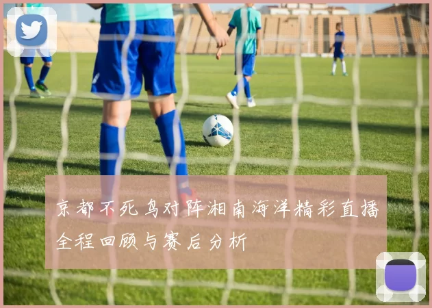 京都不死鸟对阵湘南海洋精彩直播全程回顾与赛后分析
