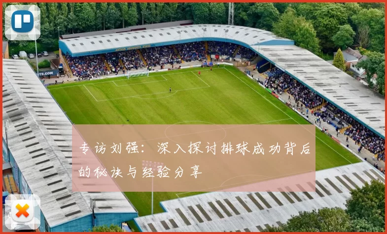 专访刘强：深入探讨排球成功背后的秘诀与经验分享