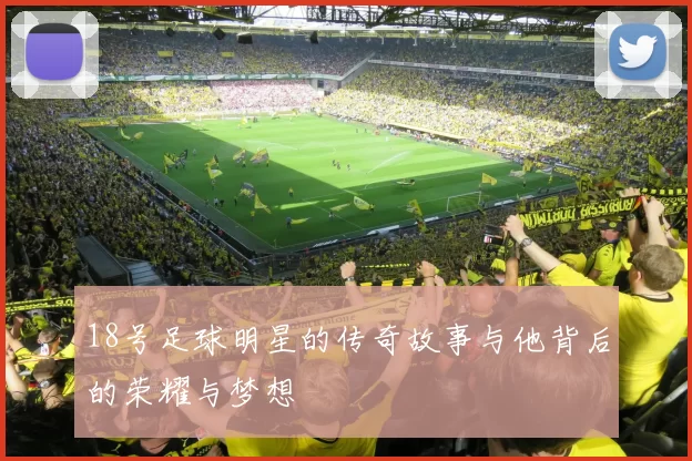 18号足球明星的传奇故事与他背后的荣耀与梦想
