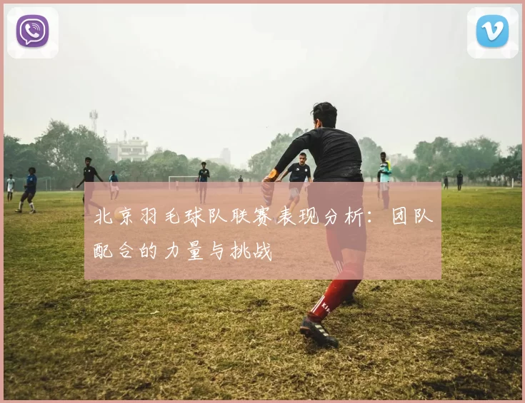 北京羽毛球队联赛表现分析：团队配合的力量与挑战